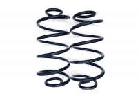 REPLACEMENT REAR SPRINGS (2)  #7942